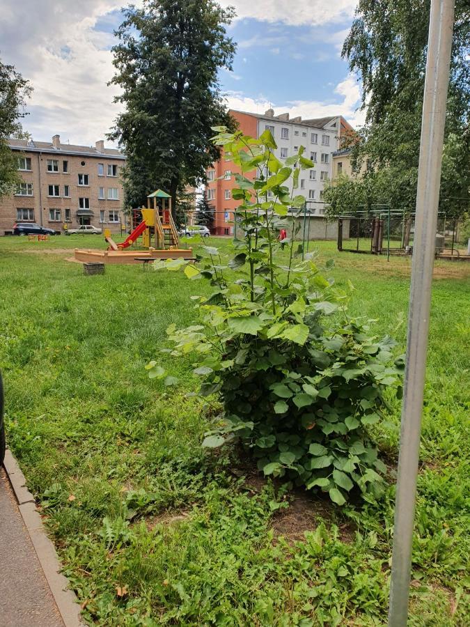 Apartament Erfolg 6 Daugavpils Bagian luar foto
